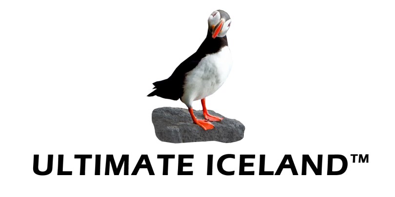 ultimate iceland puffin