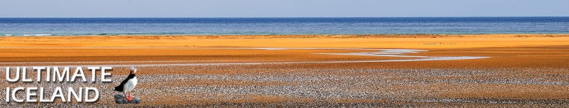 Iceland-orange-beach